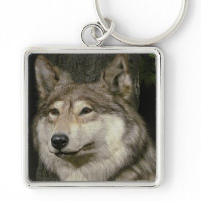 wolf keychain