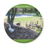 WOLF LAKE PARK, ILLINOS MAGNETS