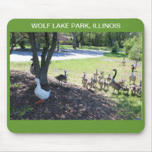 WOLF LAKE PARK, ILLINOS MOUSE PADS