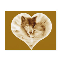 Wolf Love Post Cards