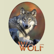 Wolf Lovers Canis Lupis