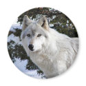 wolf magnets by deemac1 wolf magnets