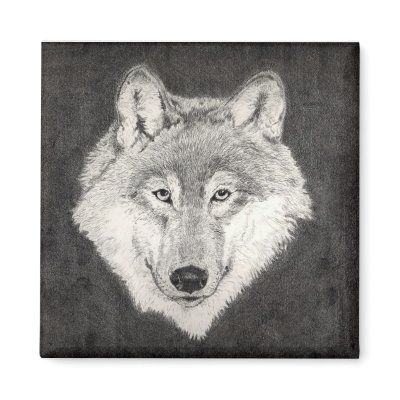 Wolf  Magnet by kmullarney