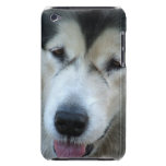 Wolf Malamute Picture iTouch Case Barely There Ipod Covers