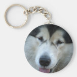 Wolf Malamute Picture Keychain
