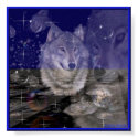 Wolf -misterious Creature- I posters