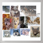 wolf montage posters
