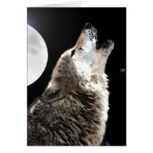 Wolf & Moon Greeting Card