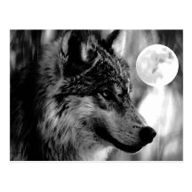 Wolf & Moon Postcard