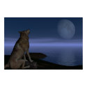 Wolf Moon posters by md8speed Wolf Moon posters