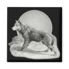 square_magnet - Vintage wolf posed before a full moon. Illustration is in grayscale. A wonderful wildlife design on gifts and apparel. Sure to please men, women and all ages of animal lovers.: Sizes 