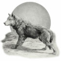 Wolf Moon Profile photo sculptures by Memory_Lane Wolf Moon Profile photo sculptures