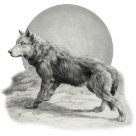 stand_ps - Vintage grey wolf posed before a full moon. Illustration is in grayscale. A wonderful wildlife design on gifts and apparel. Sure to please men, women and all ages of animal lovers.: Sizes 