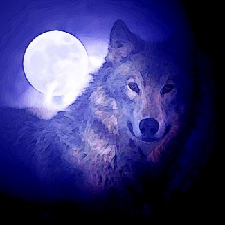 Wolf & Moon Square Poster Print Blue Night Wolves print