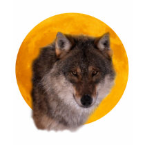 Wolf moon tshirt