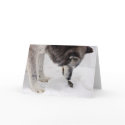 Wolf & Mouse Card