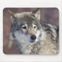 Wolf mousepads