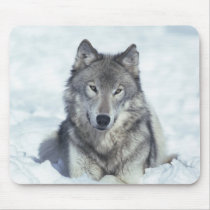 Wolf mousepads by animalworld Wolf mousepads