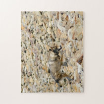 Wolf on the Rocks puzzles