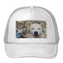 Wolf Pack Baseball Hat