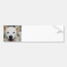 Wolf Pack Bumper Stickers