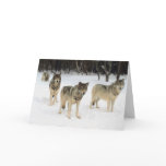 Wolf Pack Card