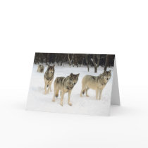 Wolf Pack cards by alternateworlds Wolf Pack cards