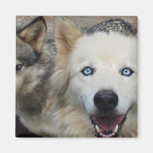 Wolf Pack Magnet