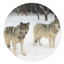 Wolf Pack Round Sticker