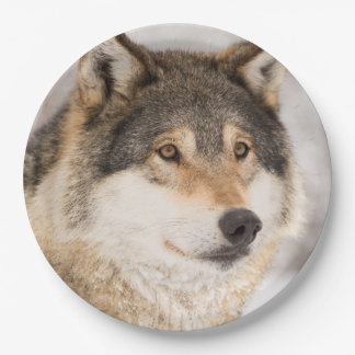 Wolf Plates | Zazzle