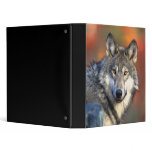 Wolf Photograph Binder