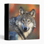 Wolf Photograph Binders