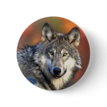 Wolf Photograph Button