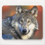 Wolf Photograph Mouse Mat