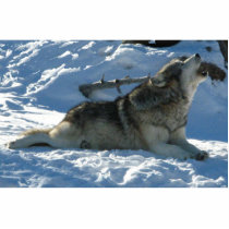 Wolf photo sculptures