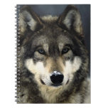 Wolf Portrait Notebook