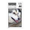 Wolf Portrait postage by StarLily Wolf Portrait postage