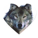 Wolf Portrait Stickers
