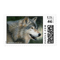Wolf postage stamps