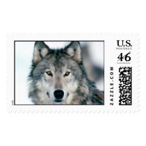 wolf postage