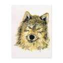 Wolf Postcard