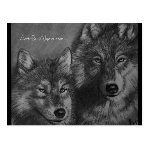 Wolf Postcard