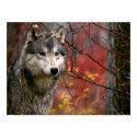 Wolf posters by beverlytazangel Wolf posters