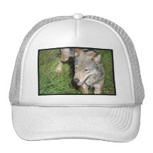 Wolf Prowl Baseball Hat