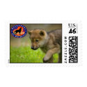 Wolf Pup postage by Defenders1947 Wolf Pup postage