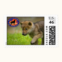 Wolf Pup stamps