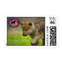 Wolf Pup Stamp