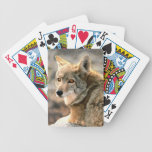 Wolf Rain Graphic Art Deck Of Cards