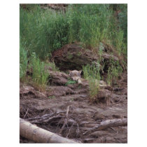 Wolf Resting in Front of Den Custom Flyer