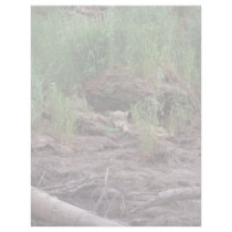 Wolf Resting in Front of Den letterhead